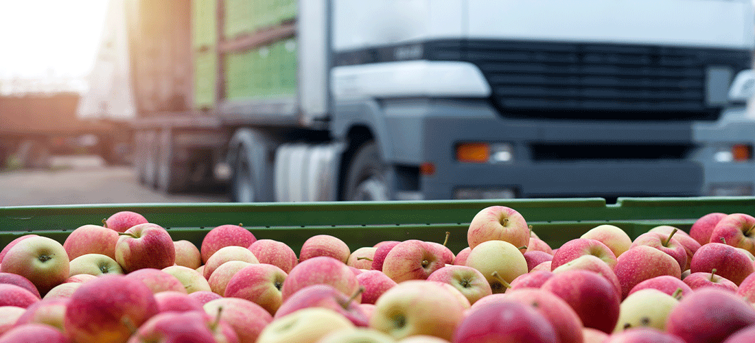Distribuição de frutas e alimentos. Caminhão carregado com recipientes cheios de maçãs prontos para serem enviados para o mercado.