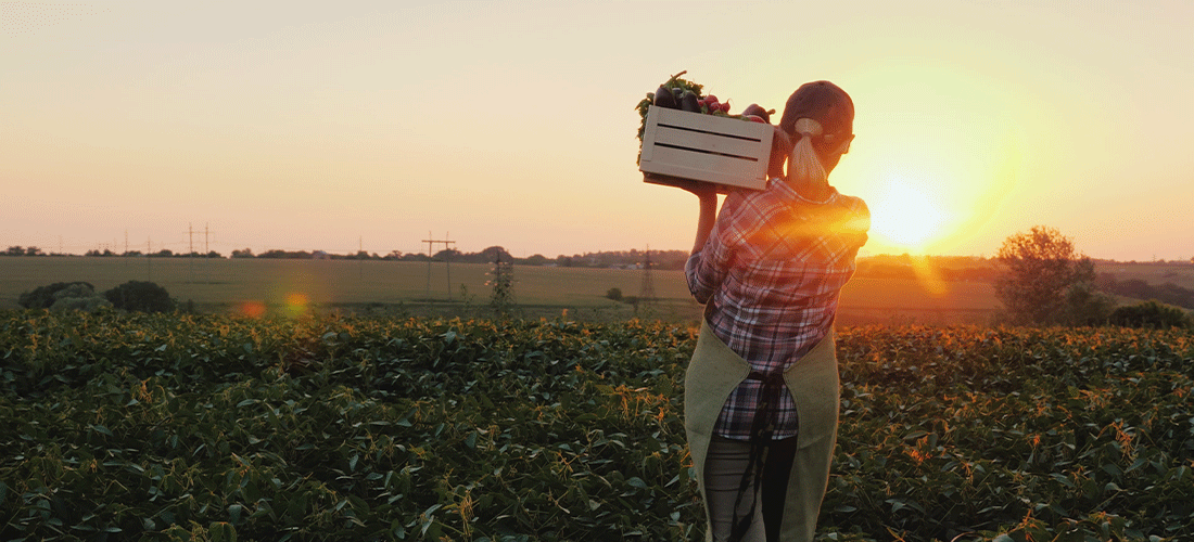 Novo cadastro da agricultura familiar  começa a operar este mês no Brasil 