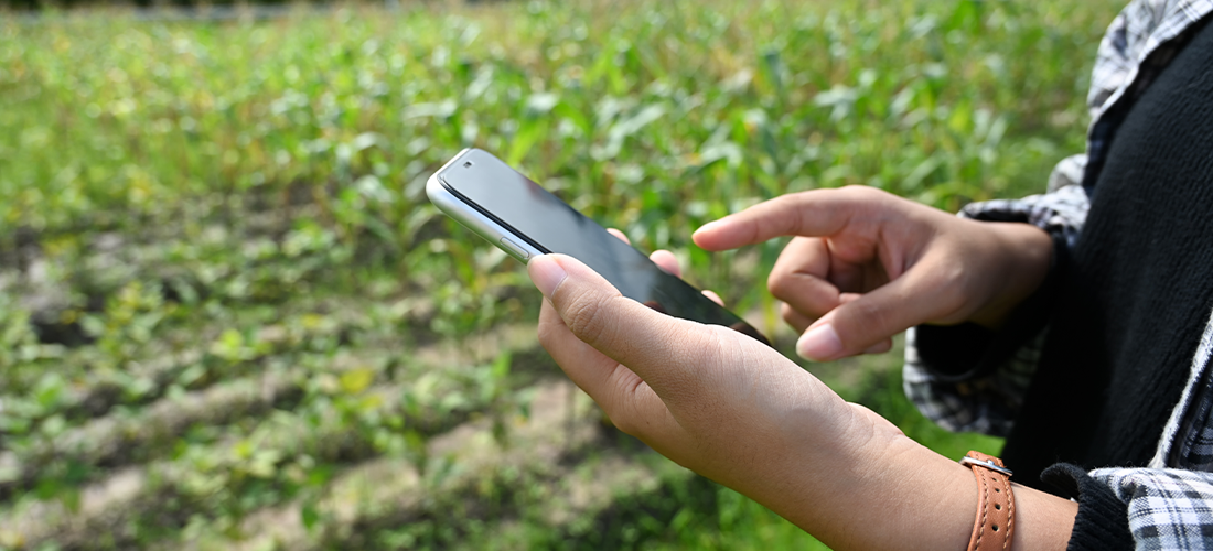 Acesso à internet no campo triplica em dez anos no Brasil