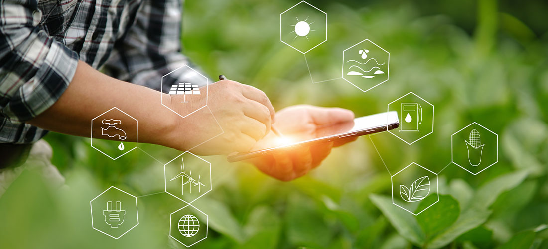 Pesquisas mostram recuo de investimentos em tecnologia e inovação no agro brasileiro