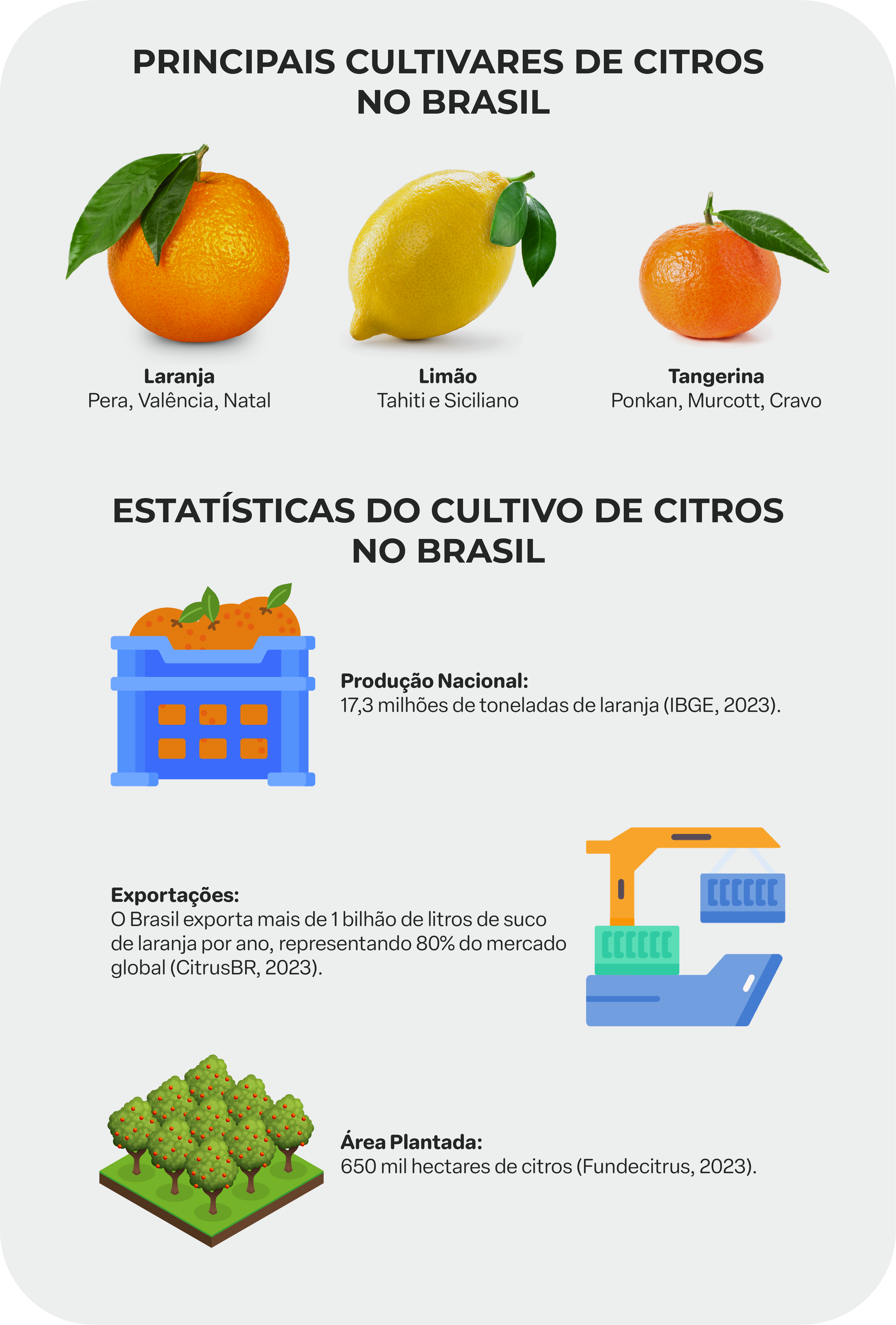 Principais Cultivares de Citros no Brasil  Laranja: Pera, Valência, Natal. Limão: Tahiti e Siciliano. Tangerina: Ponkan, Murcott, Cravo. Estatísticas do Cultivo de Citros no Brasil  Produção Nacional: 17,3 milhões de toneladas de laranja (IBGE, 2023). Exportações: O Brasil exporta mais de 1 bilhão de litros de suco de laranja por ano, representando 80% do mercado global (CitrusBR, 2023). Área Plantada: 650 mil hectares de citros (Fundecitrus, 2023).