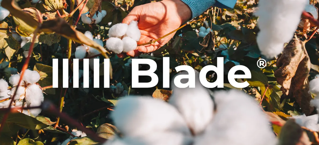 blade