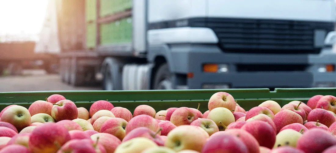 Distribuição de frutas e alimentos. Caminhão carregado com recipientes cheios de maçãs prontos para serem enviados para o mercado.