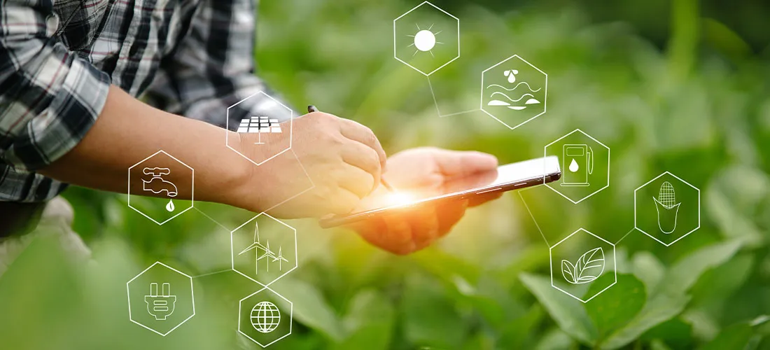 Pesquisas mostram recuo de investimentos em tecnologia e inovação no agro brasileiro