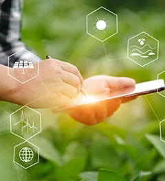 Pesquisas mostram recuo de investimentos em tecnologia e inovação no agro brasileiro