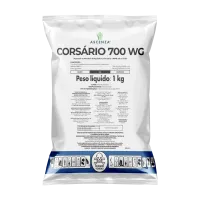 Corsario